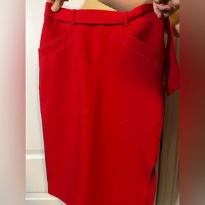 Banana Republic Pencil Skirt